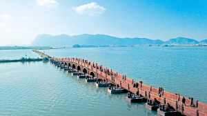 51941705858980179 51941705858980179