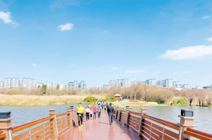 85171705858980194 85171705858980194